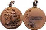 Česká obec sokolská 1899 - Čechie se lvem u kmene