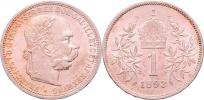 Koruna 1893