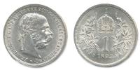 1 Koruna 1893 b.zn.