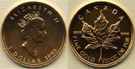 1 Dolar (1/20 Unce Au) 1993