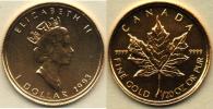 1 Dolar (1/20 Unce Au) 1993