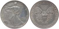 1 Dolar 1993 (Ag unce)